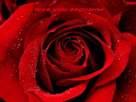 segolene